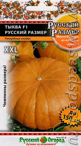 Тыква Русский размер F1 3 шт