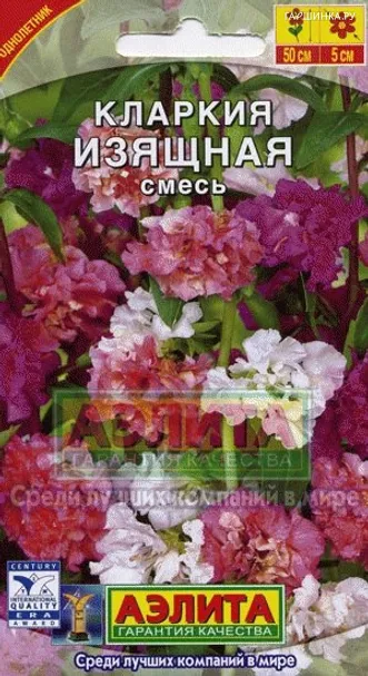 Кларкия Изящная, смесь окрасок