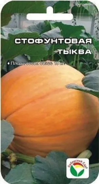 Тыква Стофунтовая 5шт
