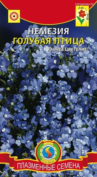 Немезия Голубая птица