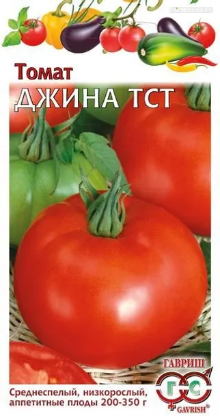 Томат Джина, 20шт