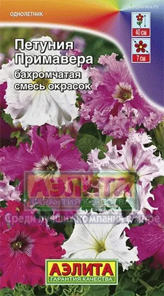 Петуния Примавера бахромчатая, смесь окрасок