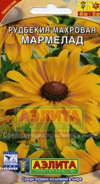 Рудбекия Мармелад