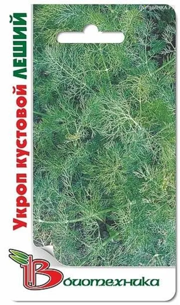 Укроп Леший