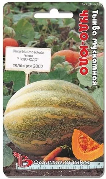 Тыква Чудо-Юдо