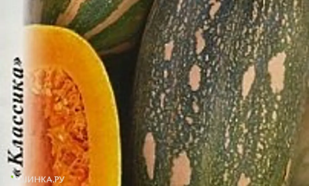 Тыква Витаминная 2 г