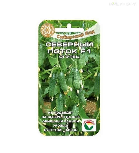 Огурец Северный поток F1 7шт
