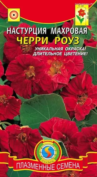 Настурция Черри Роуз