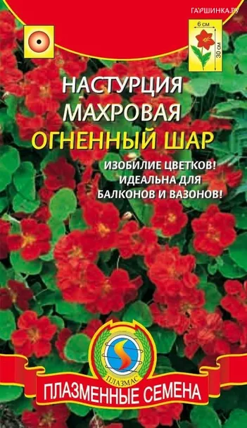 Настурция махровая Огненный шар