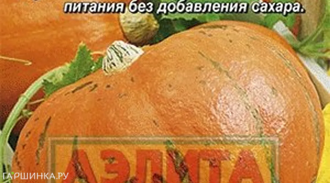 Тыква крупноплодная Конфетка ц/п