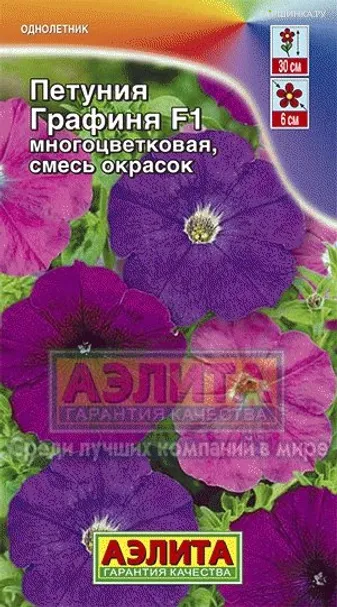 Петуния Графиня F1 многоцветковая, смесь окрасок