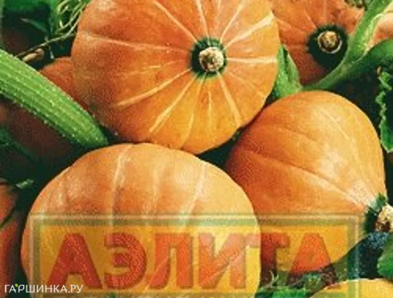 Тыква Россиянка ц/п