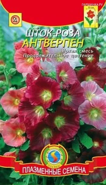 Шток-роза Антверпен смесь