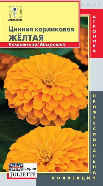 Цинния (серия Juliette) Желтая