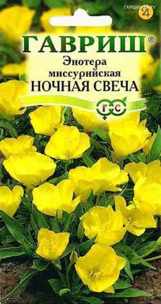 Энотера миссурийская Ночная свеча 0,2 г