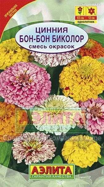 Цинния Бон-бон биколор, смесь окрасок