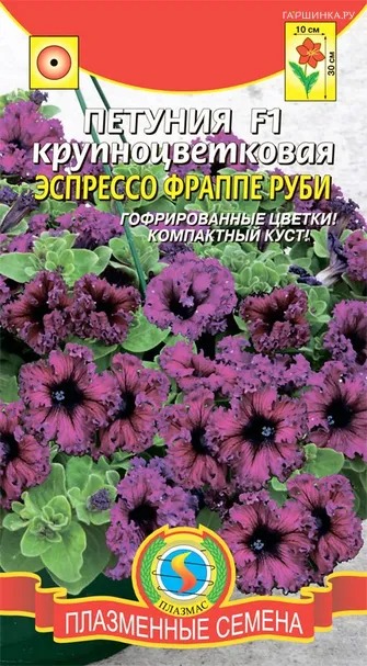 Петуния Эспрессо Фрапе Руби крупноцветковая