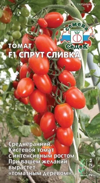 Томат Спрут Сливка F1