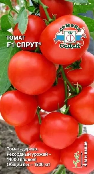 Томат Спрут F1