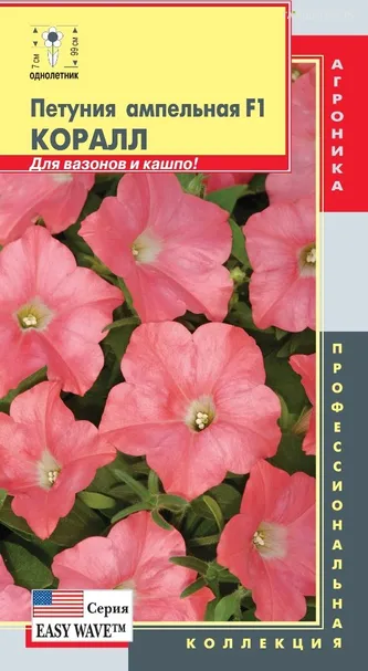 Петуния Easy Wave Коралл F1, ампельная