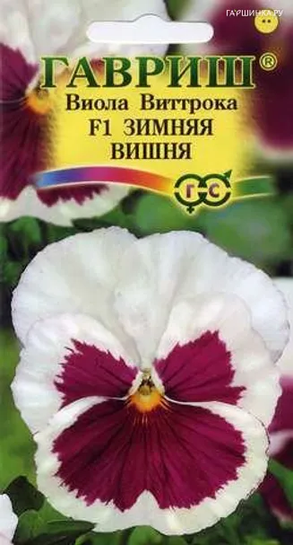 Виола Зимняя вишня F1 (Аэлита), 7шт