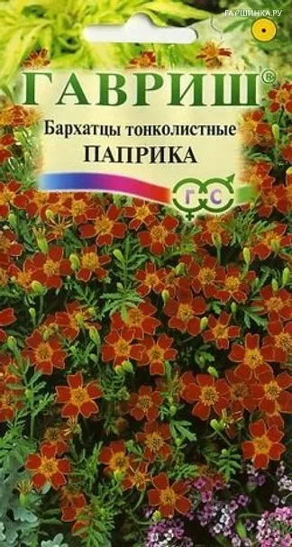 Бархатцы Паприка тонколистные (Гавриш), 0,05 г