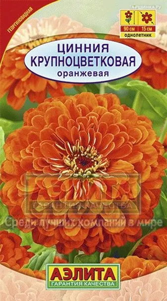 Цинния Крупноцветковая оранжевая, 0,3гр