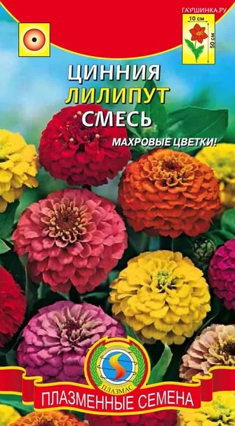 Цинния Лилипут смесь
