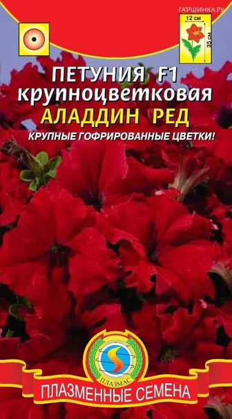 Петуния Аладдин Ред крупноцветковая