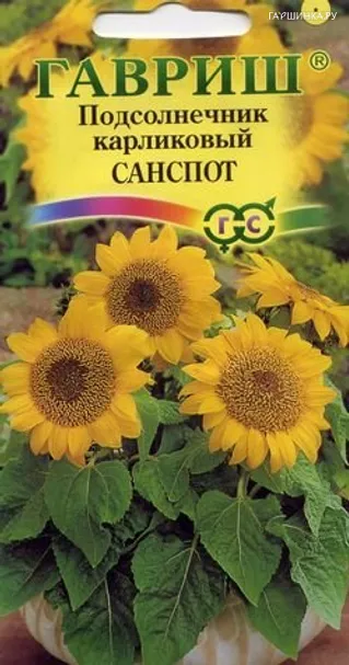 Подсолнечник карликовый Санспот 0,5 г