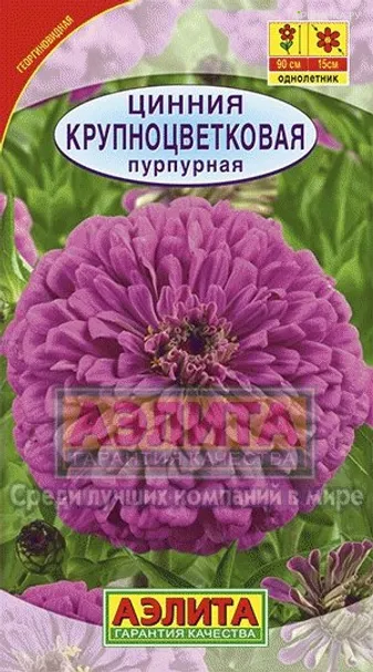Цинния Крупноцветковая пурпурная, 0,3гр