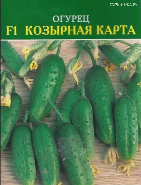 Огурец Козырная карта F1 12шт