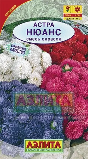Астра Нюанс карликовая, смесь окрасок ц/п