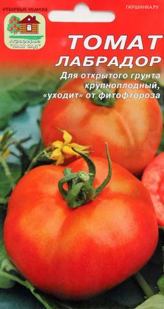 Томат Лабрадор 20 шт ранний