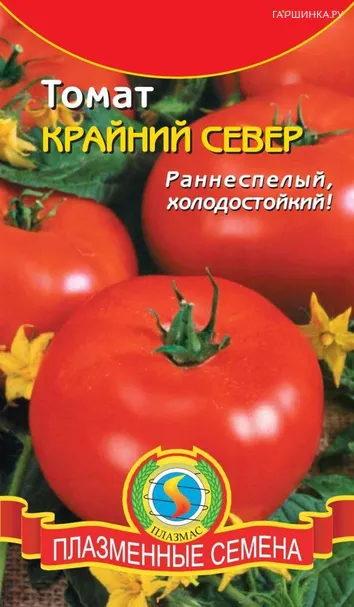 Томат Крайний север 0,1г