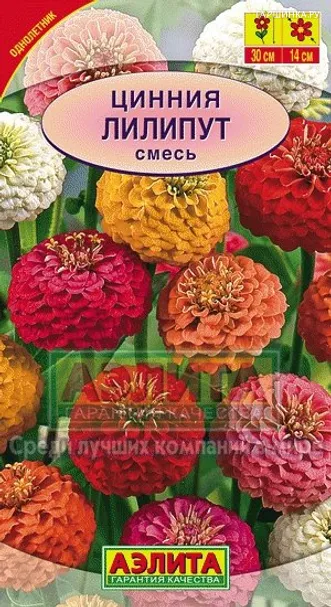 Циния Лилипут, смесь