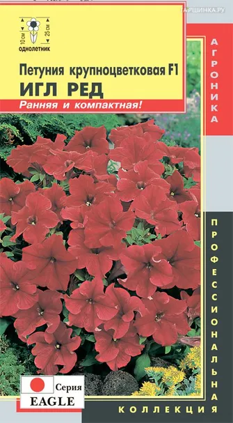 Петуния Игл Ред крупноцветковая F1