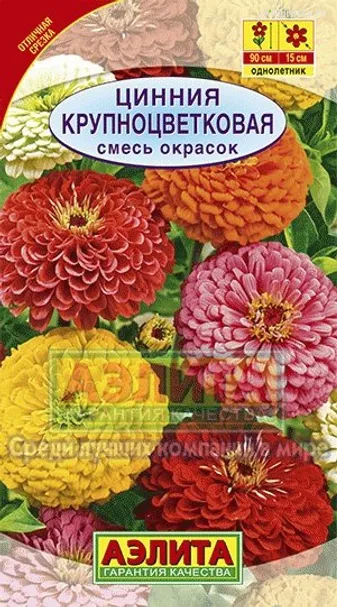 Цинния Крупноцветковая смесь окрасок