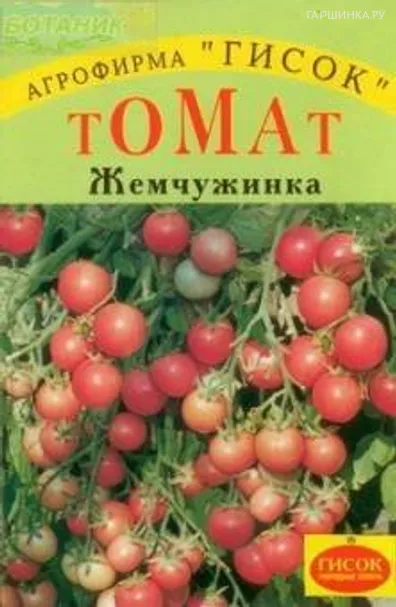 Томат Жемчужинка