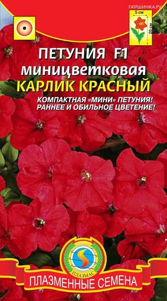 Петуния Карлик Красный миницветковая