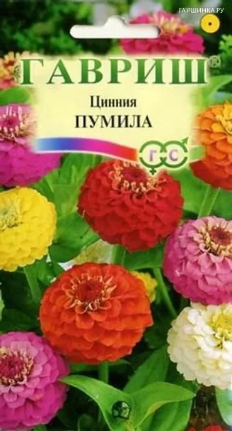 Цинния Пумила, махровая раннецветущая смесь 0,5 г