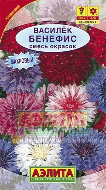 Василек махровый Бенефис, смесь окрасок ц/п