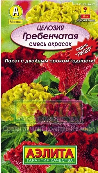 Целозия Гребенчатая, смесь окрасок