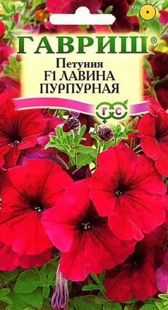 Петуния Лавина Пурпурная F1 ампельная 10 шт пробирка