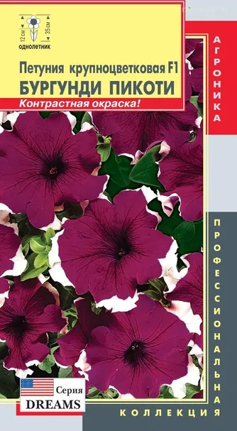 Петуния Пикоти Бургунди (Dreams) F1 крупноцветковая