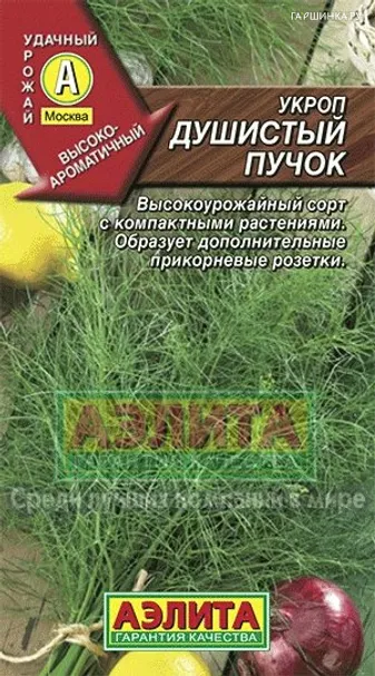 Укроп Душистый пучок