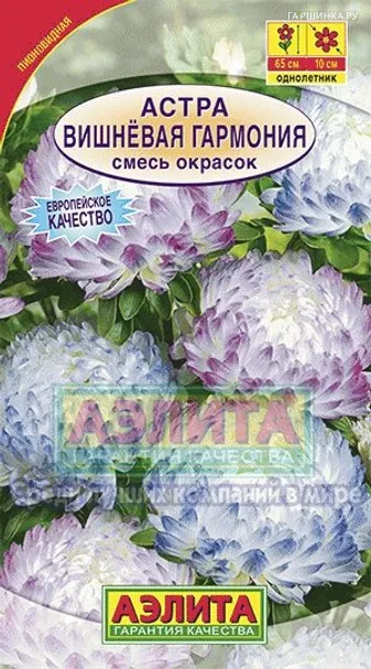 Астра Вишневая гармония, смесь окрасок ц/п