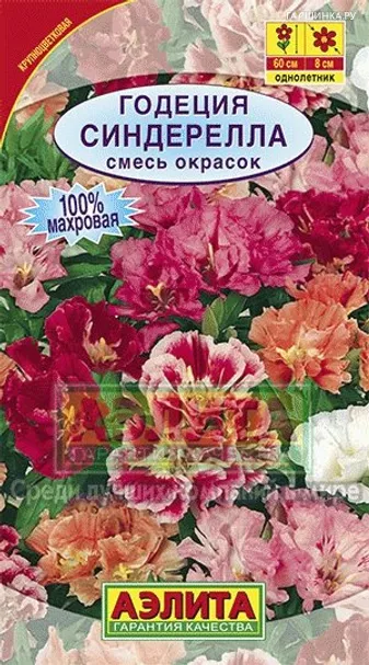 Годеция Синдерелла ц/п