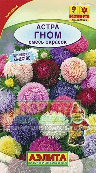 Астра Гном, смесь окрасок ц/п