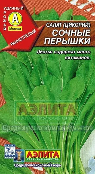 Салат Сочные перышки (цикорий)